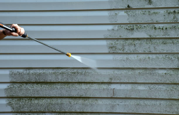 Professional Pressure Washing in Roselle, IL