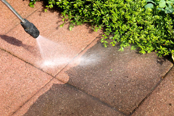 Best Affordable Pressure Washing  in Roselle, IL